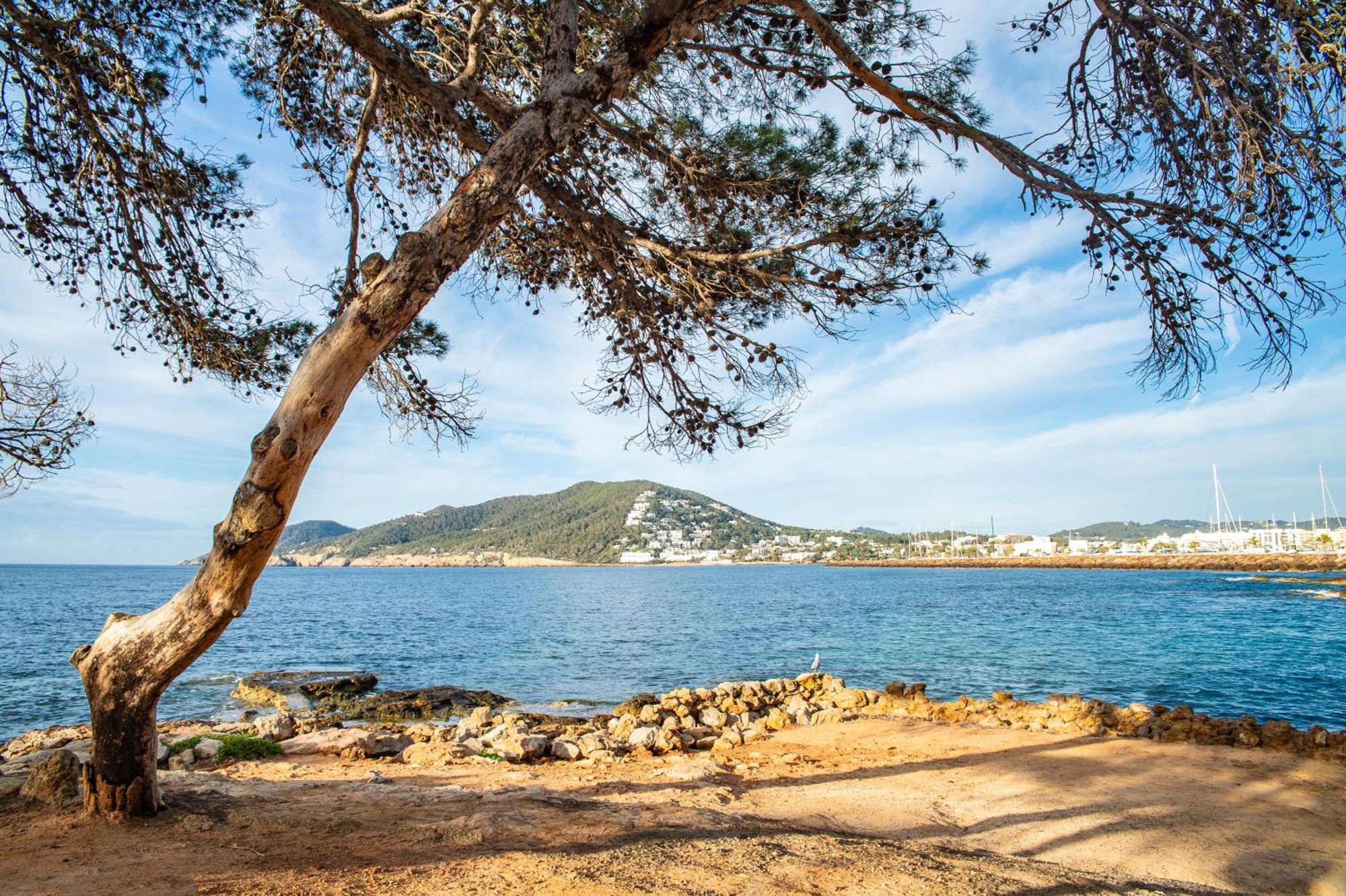 Pierre & Vacances Ros Ibiza Санта-Еулалія-дель-Ріо Екстер'єр фото